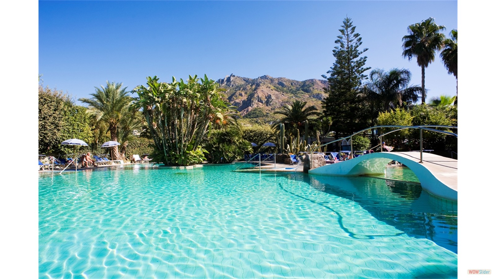 Swimming Pool - Park Hotel Terme Mediterraneo