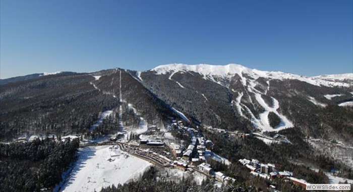 aerea6